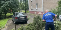В Обнинске буря повалила более 20 деревьев - Калужский перекрёсток