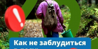 Отправляясь в лес:. - Тотемский муниципальный округ