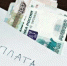 Официальная заработная плата-уверенность в завтрашнем дне - Салаватский район