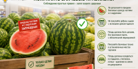 Продажа нарезанных арбузов - скрытая угроза - Роспотребнадзор