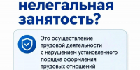 Напоминание об ответственности работодателя и последствиях для работника при неформальной занятости - Тамалинский район