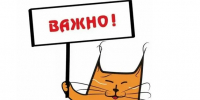 . - Городская поликлиника №7