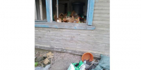 отходы валяются в заброшенном доме и на улице перед ним - Петрозаводск говорит