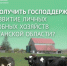 Программа поддержки личных подсобных хозяйств Курганской области. - Мишкинский муниципальный округ