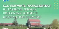 Программа поддержки личных подсобных хозяйств Курганской области. - Мишкинский муниципальный округ