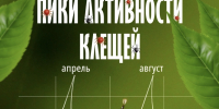 Активность клещей - Дигорский район