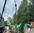 В Новосибирске начали создавать Аллею Памяти в честь погибших сотрудников МВД - Сиб.фм
