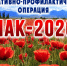 ПОЛИЦИЯ ИНФОРМИРУЕТ. - Новоузенский район