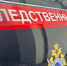 Следователи начали проверку из-за нападения на 7-летнего ребёнка в Бердске - Gorsite.Ru