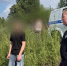 Фото: пресс-служба СУ СК России - ТК Краснодар