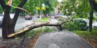 В Уфе во время грозы упали деревья - Башинформ