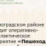 В Зерноградском районе проходит оперативно-профилактическое мероприятие «Пешеход. Пешеходный переход» - Зерноградский район