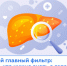 . - Центральная районная больница