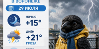 Гроза без солнца, день ненастный: какой будет погода в середине недели? - Bloknot-Voronezh.Ru