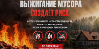 МЧС напоминает: Огонь не прощает ошибок: почему нельзя сжигать мусор. - Комаричский район