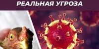 Памятка для населения: «Высокопатогенный грипп птиц» - Майский район