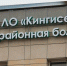 Жители Кингисеппа лечат уши и горло в Ивангороде - Кингисепп-сегодня.рф