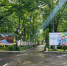 В парке «Сад Аполло» появится новая детская игровая площадка - Kirov.Online