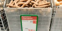Морковь в Калининградскую область везут из Африки - ИА Русский Запад