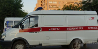 фото: Геннадия Хабарова/Череповец-поиск - Cher-Poisk.Ru