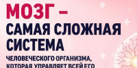 Повреждения в нервной системе содействуют возникновению более 500 заболеваний. - Газета Кизилюртовские вести