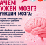 15 интересных фактов о мозге: - Газета Кизилюртовские вести