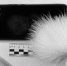 Новороссийские следователи направили в суд уголовное дело о краже - Город-герой Новороcсийск
