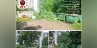В Ивангороде убрали свалку строительного мусора у контейнерной площадки - ЛенТВ24