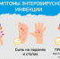 Северный территориальный отдел Роспотребнадзора проконсультирует по вопросам профилактики энтеровирусной инфекции - Вольская жизнь