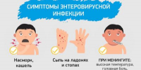 Северный территориальный отдел Роспотребнадзора проконсультирует по вопросам профилактики энтеровирусной инфекции - Вольская жизнь