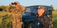 На страже природы: в восточной зоне Курганской области усилен контроль за соблюдением охотничьего законодательства - Управление охотничьего хозяйства