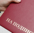 Дума Ставрополья предложила лишать депутатов мандата за нарушения в декларациях - ИА Победа 26