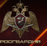 Ключевые события Росгвардии: итоги недели с 13 по 19 июля (видео) - Росгвардия
