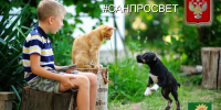 Чем можно заразиться от животных? - Администрация Ейского района