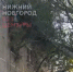 Огромное дерево рухнуло на пятиэтажку и оборвало провода в Нижнем Новгороде - ProGorodNN.Ru