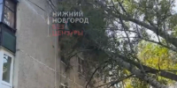 Огромное дерево рухнуло на пятиэтажку и оборвало провода в Нижнем Новгороде - ProGorodNN.Ru