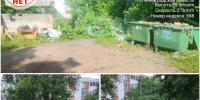 В Ивангороде ликвидирована свалка у контейнерной площадки - Комитет экологического надзора