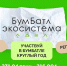 Жителей Архангельской области приглашают присоединиться к седьмому сезону Всероссийской акции «БумБатл» - Пресс-центр Правительства