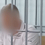 В Туле по подозрению в организации двух заказных убийств задержан предприниматель Денис Кутлин - ИА Тульская служба новостей
