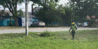 В Батайске продолжается покос сорняков - Газета Вперёд