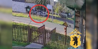 В Ярославской области подросток расстрелял остановку из пневматического пистолета - ГТРК