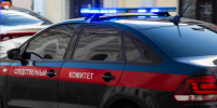 В Петербурге следователи завершили расследование дела об убийстве 9-летнего Паши - ИА Общественная служба новостей