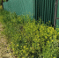 image - GazetaRB.Ru