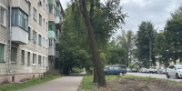 На улице Максима Горького скоро высадят молодые деревья - Калужская неделя