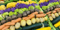 Всеволожских фермеров приглашают на гастрономический фестиваль «Вкусы России» - Всеволожский район