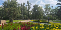 В Омске высадили более полумиллиона цветов. - Администрация города