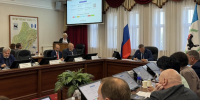 Заседание. Фото пресс-службы правительства Иркутской области - Irk.Ru