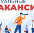 Приглашаем на работу. - Мокроусовский муниципальный округ