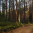 Фото читателей - EchoSevera.Ru
