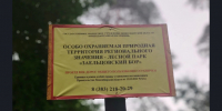 В «Заельцовском бору» прошел рейд ГИБДД и «Природоохранной инспекции»: нарушителям грозят штрафы - Министерство природных ресурсов и экологии